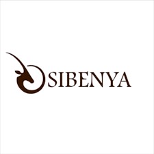 Sibanye Stillwater logo